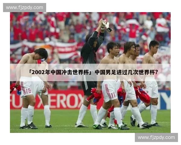 2002年世界杯精彩回顾与夺冠之路全面解析